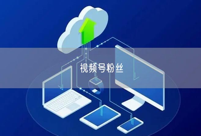 视频号粉丝