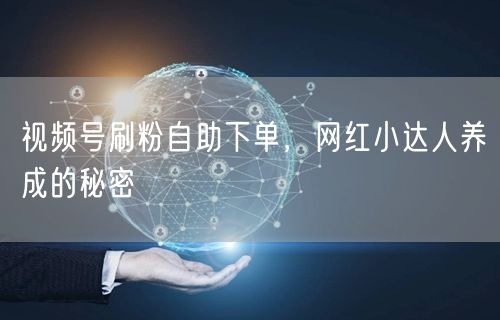 视频号刷粉自助下单，网红小达人养成的秘密