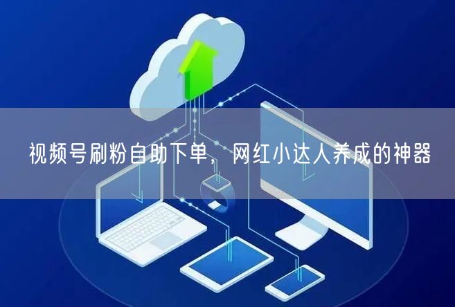 视频号刷粉自助下单，网红小达人养成的神器