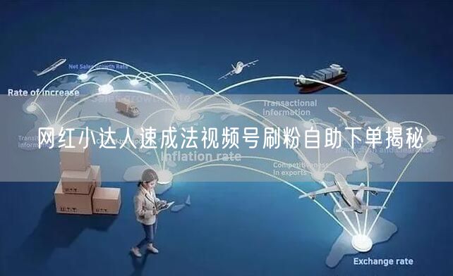 网红小达人速成法视频号刷粉自助下单揭秘