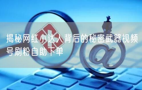 揭秘网红小达人背后的秘密武器视频号刷粉自助下单