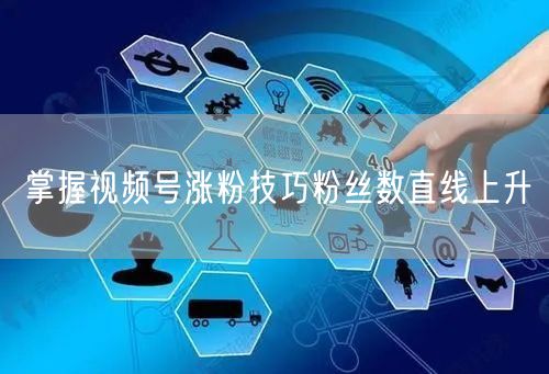 掌握视频号涨粉技巧粉丝数直线上升