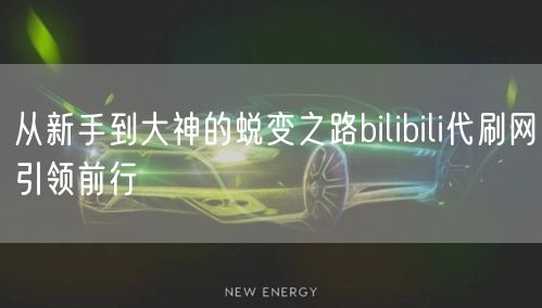 从新手到大神的蜕变之路bilibili代刷网引领前行