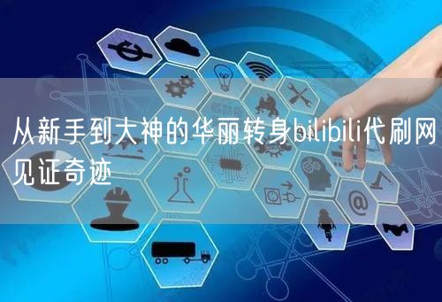 从新手到大神的华丽转身bilibili代刷网见证奇迹